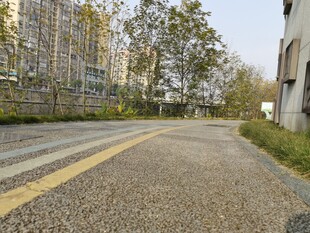 空旷街道与周边绿植景观