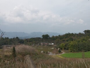 乡村田野远景风景图