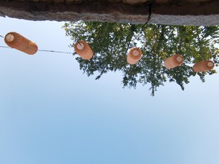 蓝色天空与树上悬挂的橙色灯笼