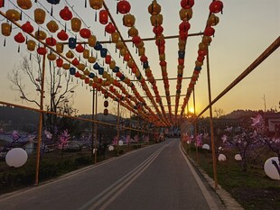 夕阳下路两旁的中式灯笼