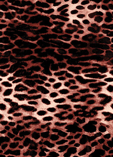 豹纹图案纹理背景