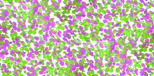 紫绿交织花卉图案纹理