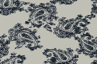 蓝白佩斯利花纹图案