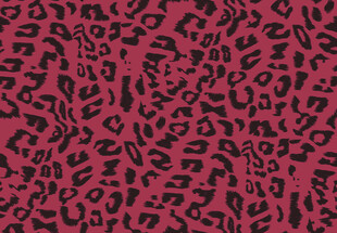 粉色豹纹图案纹理背景