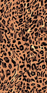 豹纹图案纹理