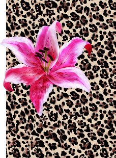 豹纹背景上的粉色百合花