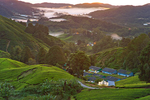 山间晨景