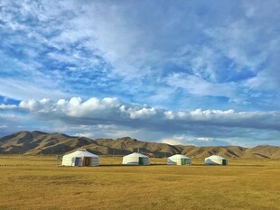 草原上的白色蒙古包景观