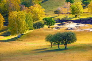 秋日草原风光美景
