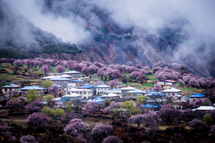 山间桃源村落