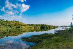 河畔蓝天绿树美丽风光