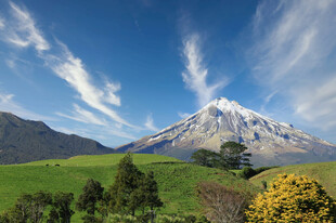 壮丽雪山下的绿野风光