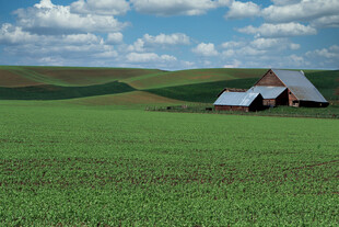 广袤田野中的乡村农舍