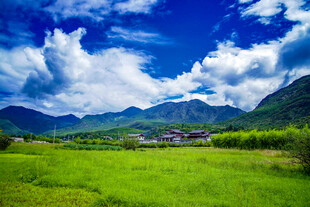 田园绿野间的秀丽风光