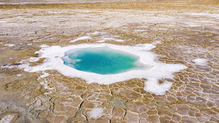 蓝绿色盐沼景观