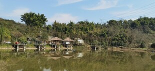 湖畔中式亭台自然景致