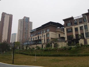 城市住宅区景观