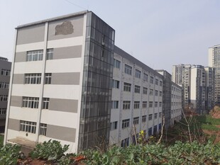 多层灰白建筑外观景象