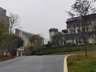 宁静小区道路及周边景致