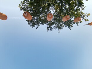 仰拍树上悬挂的多彩装饰物件