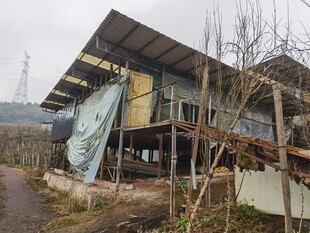 破旧木屋尽显岁月痕迹