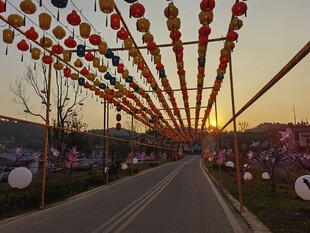 夕阳下路两旁悬挂的红灯笼