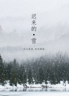 迟来的雪景