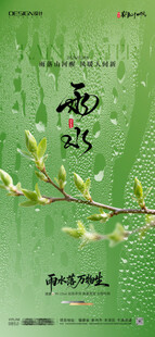 雨水