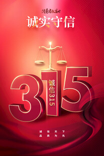 315海报
