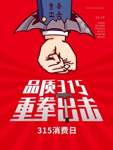 315海报