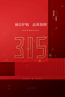 315海报