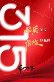 315海报