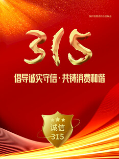 315海报