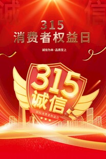 315海报