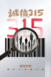 315海报