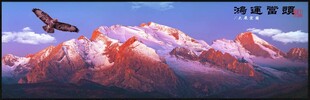 鸿运当头雪山之上翱翔