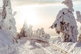 冬日雪覆铁轨的静谧美景