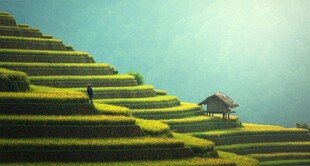 山间梯田小屋的静谧景致