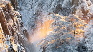 雪覆山林现金色光影