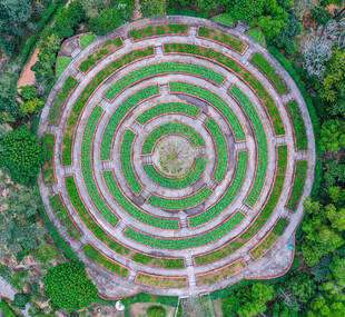 空中俯瞰圆形绿植迷宫