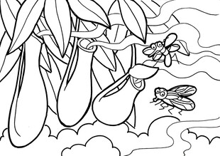 夏日蜻蜓与植物简笔画