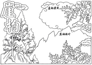 山间崖柏植物景象图