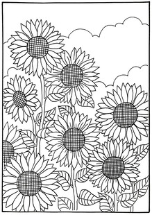 黑白向日葵花卉线稿图