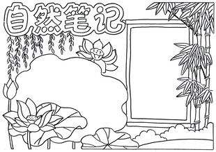 古风荷花手抄报线稿