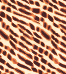 豹纹图案纹理背景