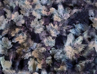 多彩毛绒面料纹理特写