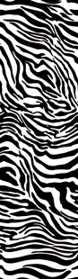 黑白斑马纹图案纹理