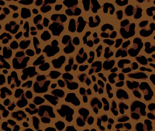 豹纹图案纹理背景