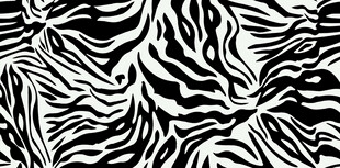 黑白斑马纹图案纹理