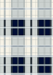 蓝白格纹图案设计